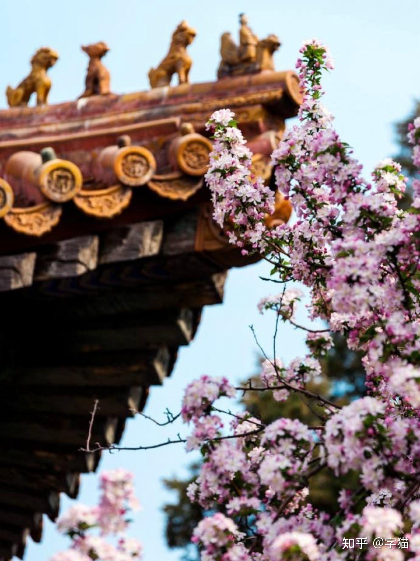 带有"青"字的古诗词有哪些?