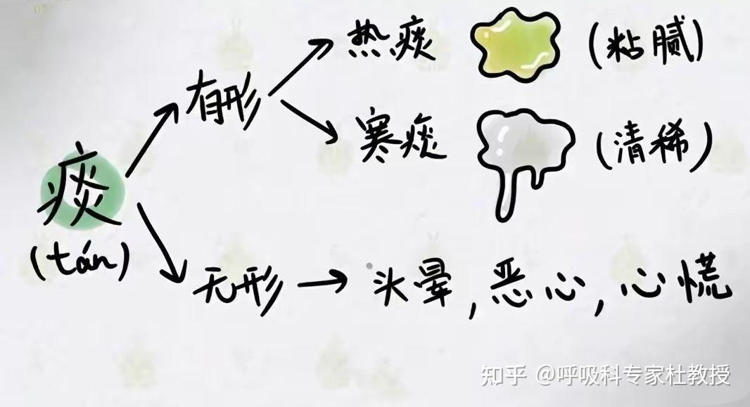 咳嗽痰多,简单两味中药泡水,一个化痰,一个健脾,好喝又有效 - 知乎