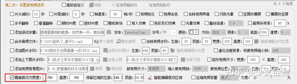 视频剪辑软件，批量裁切视频画面，调整为统一尺寸 - 知乎