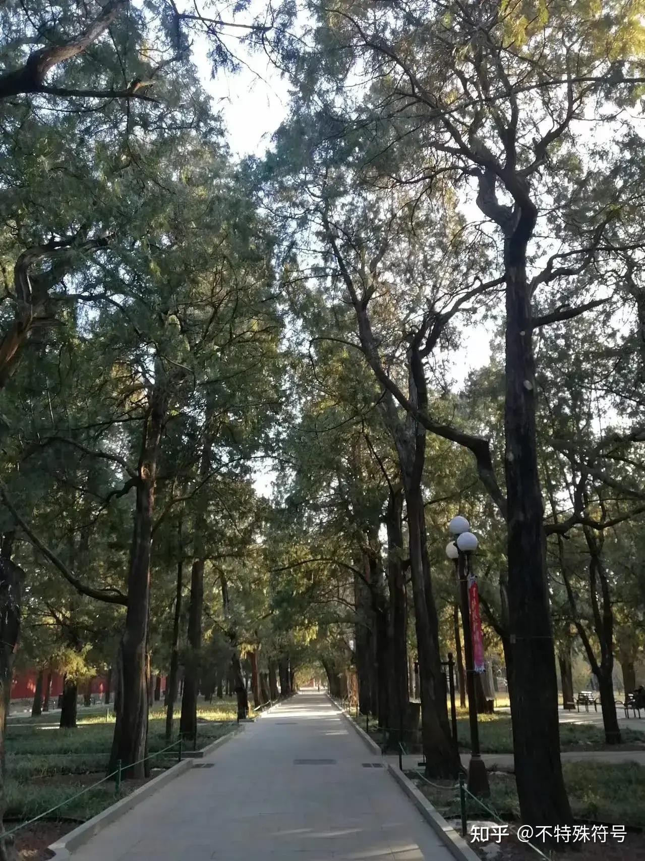 北京中山公园景色怎么样?