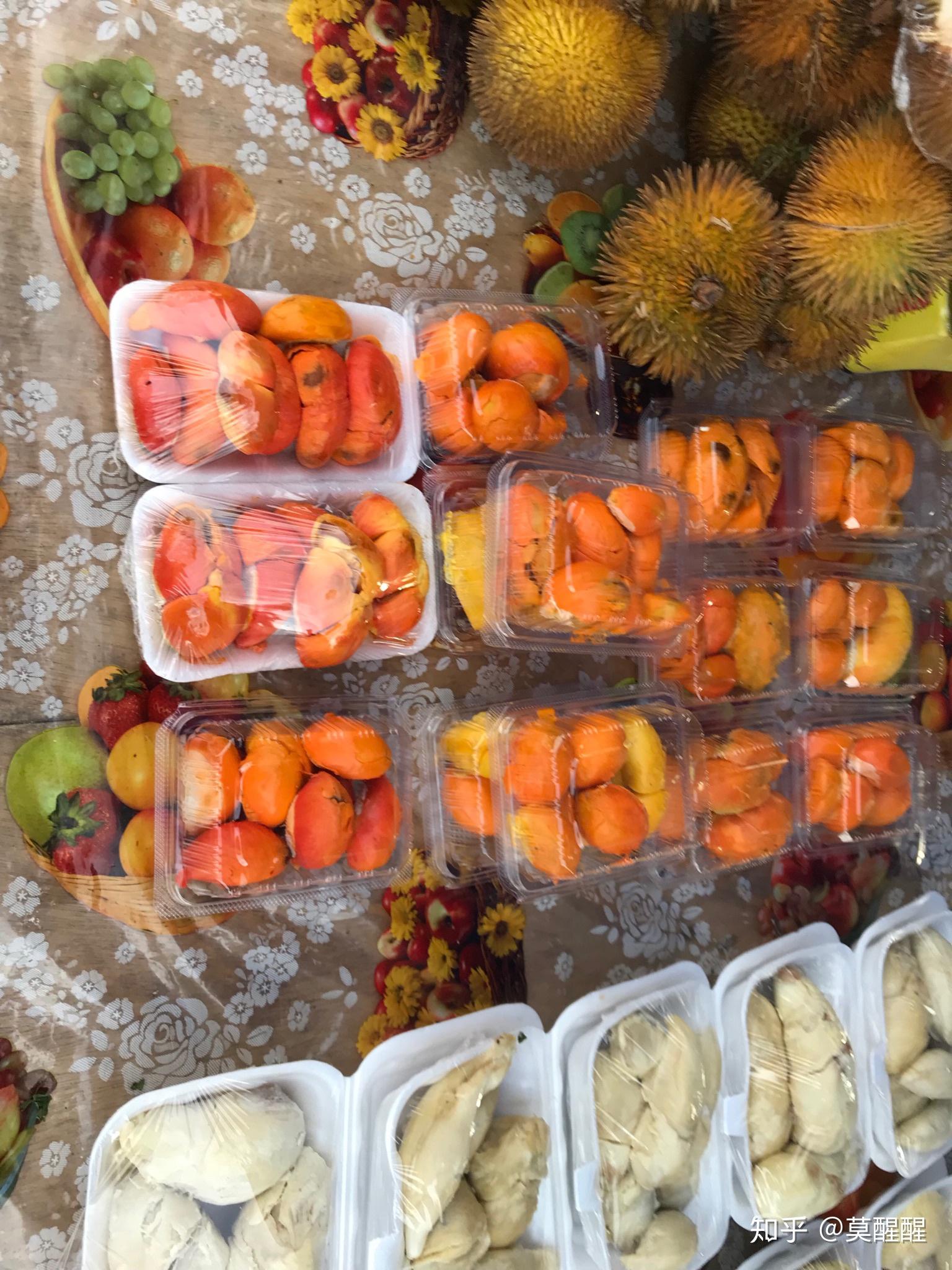 马来西亚「沙巴」有什么值得推荐的游玩攻略和体验分享?