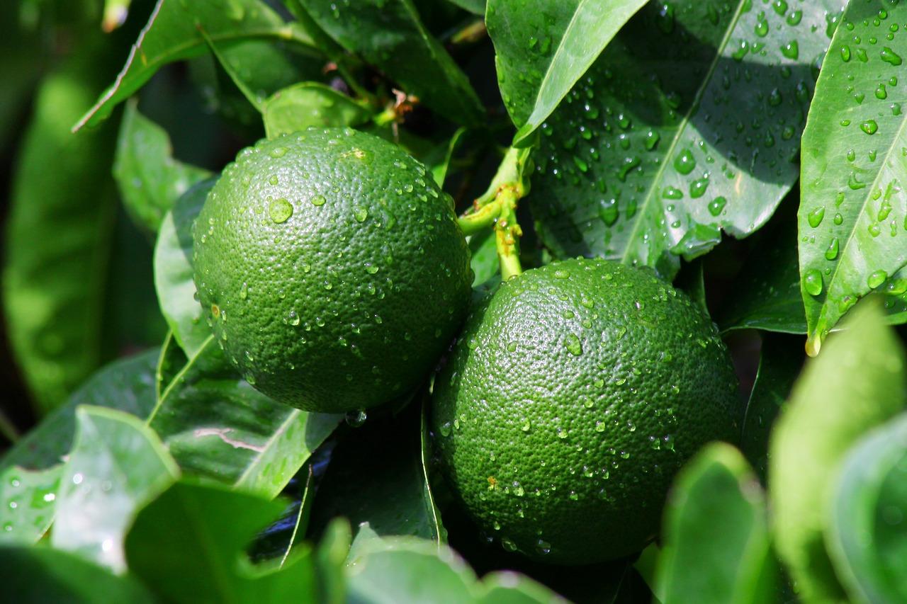 4. 玻璃清洁秘籍