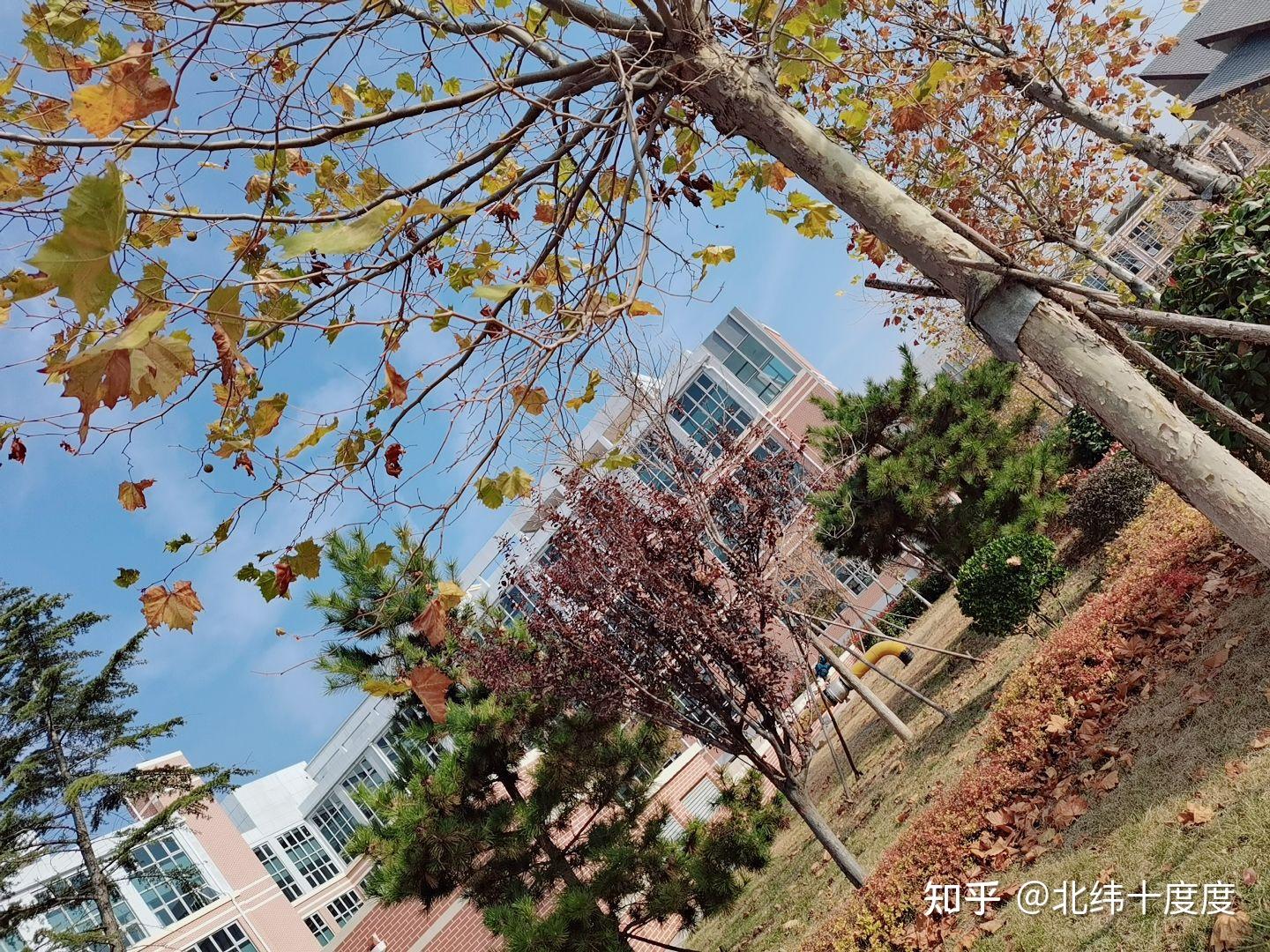 去了青岛农业大学蓝谷校区是好事情吗? - 知乎