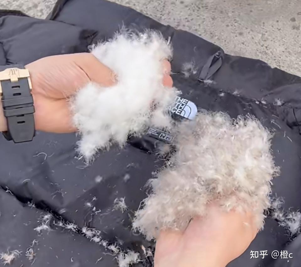北面羽绒服真假怎么看? - 知乎