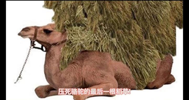 Steam验证后总是出现会您对 CAPTCHA 的响应似乎无效请在下方重新验证您不是机器人怎么办 知乎