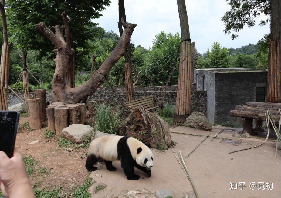 灰鸭旅行怎么样?有人在上面购买过产品吗?