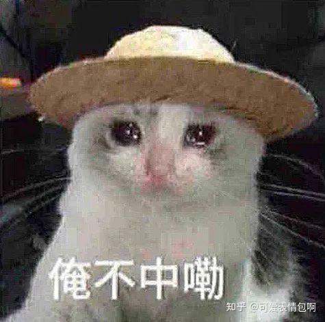 表情包:俺不中嘞 - 知乎
