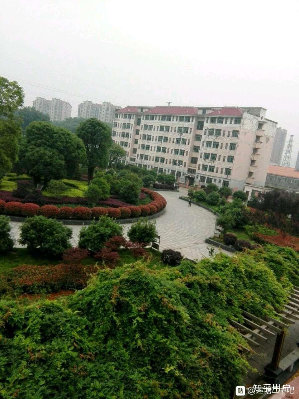 莲塘二中这所学校如何