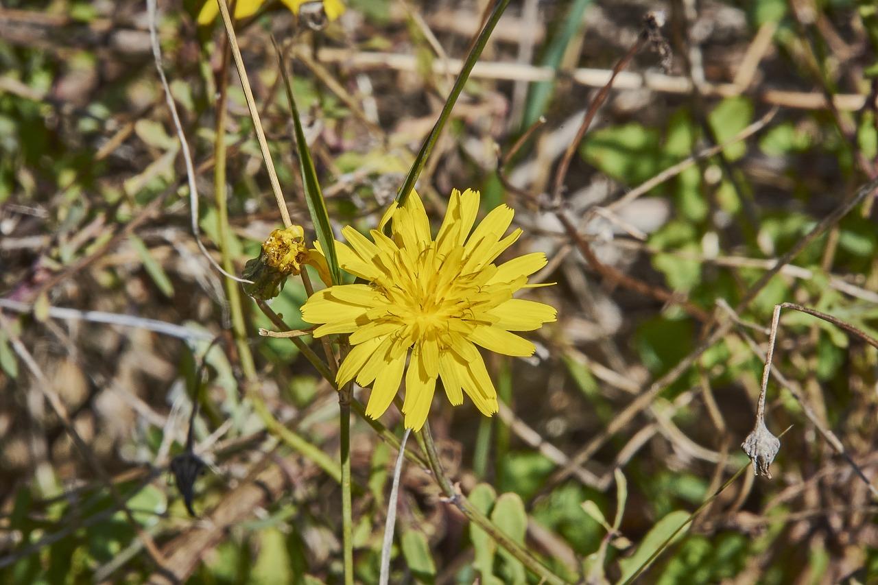 3. 水质管理要点