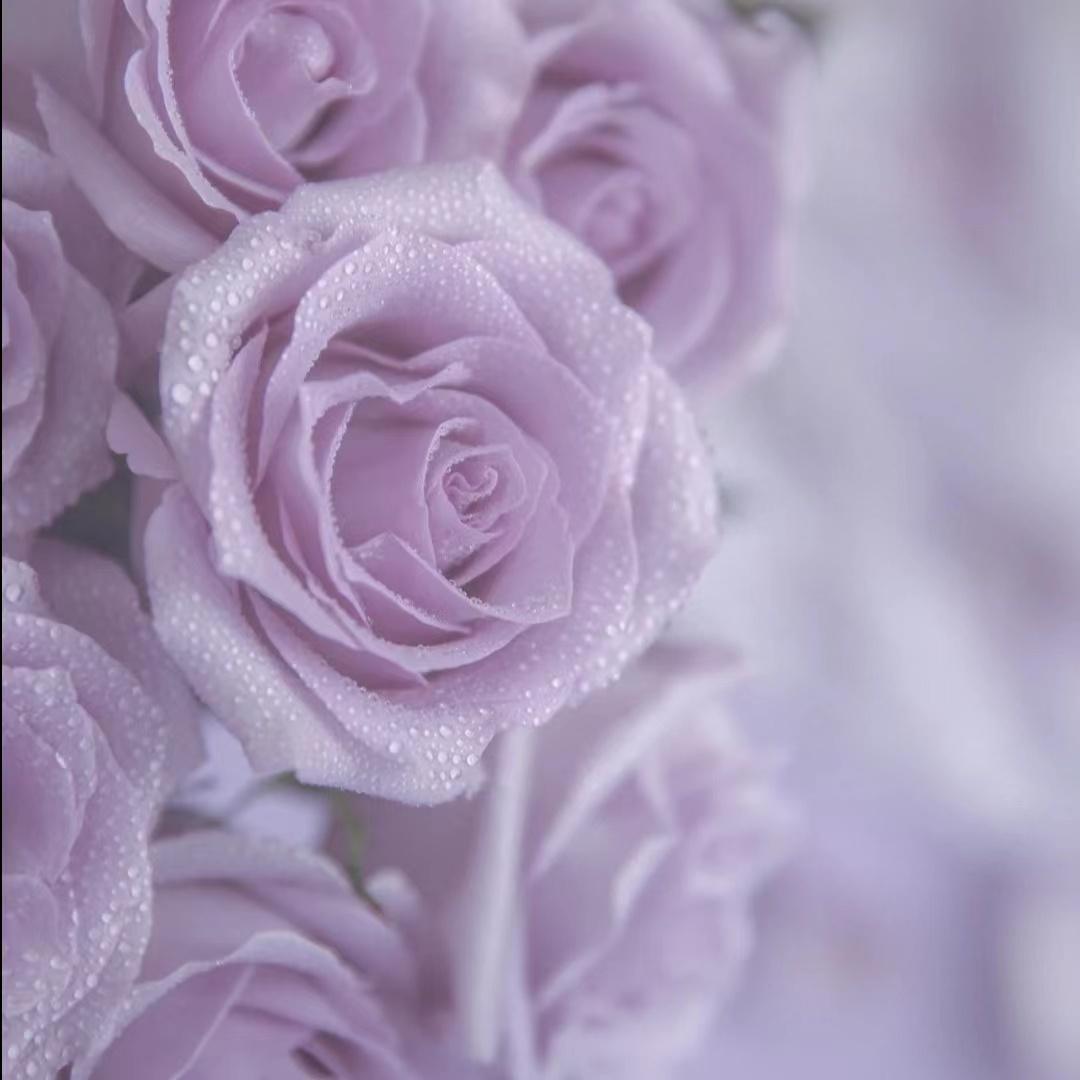 有没有让你一眼就爱上的微信头像