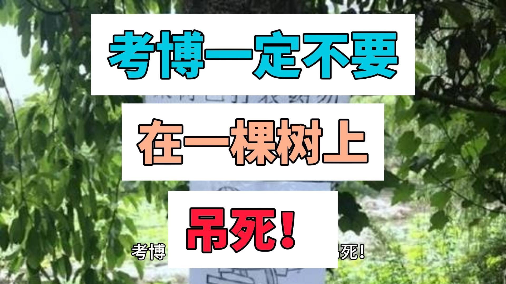 在一棵树上吊死啥意思(在一棵树上吊死啥意思啊)