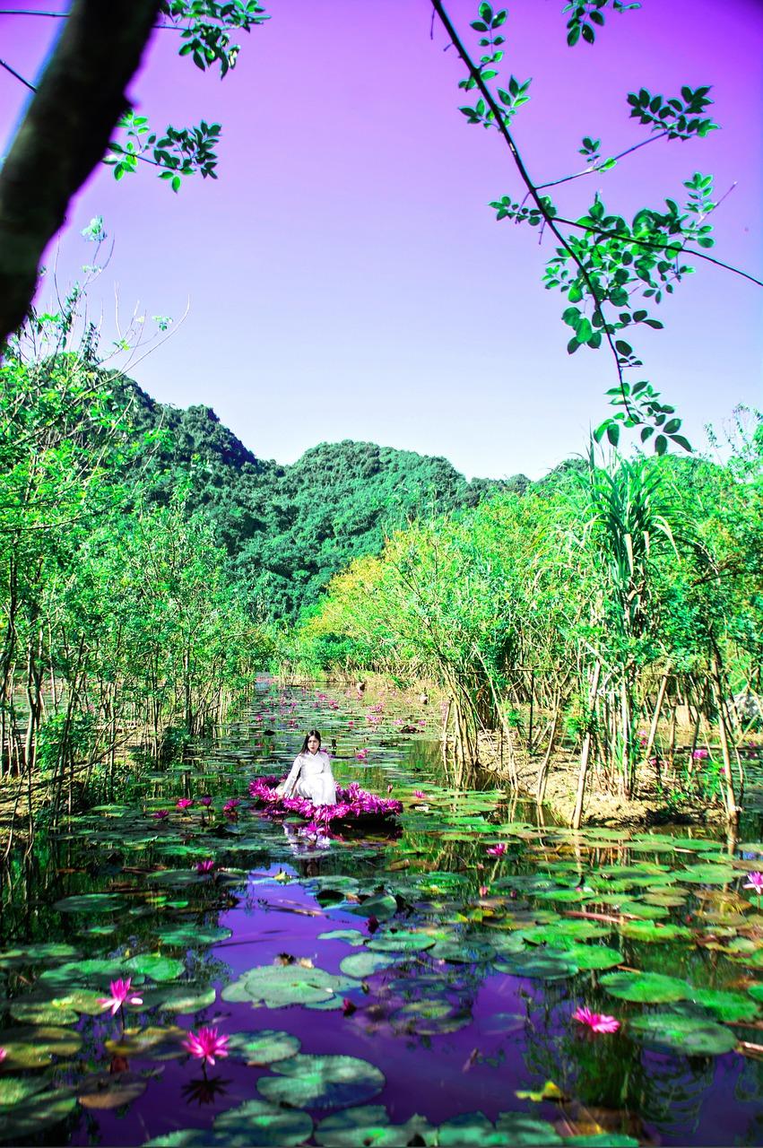 越南瓷砖清关攻略