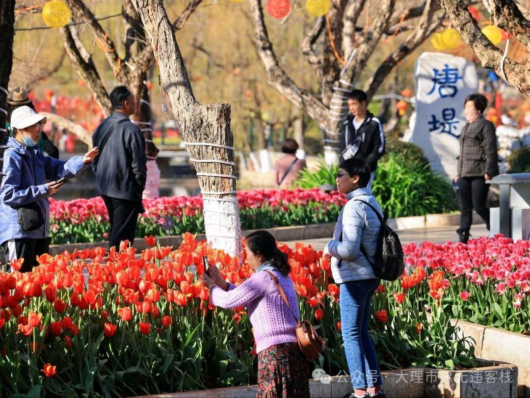 昆明翠湖公园内有哪些绝美的打卡景点