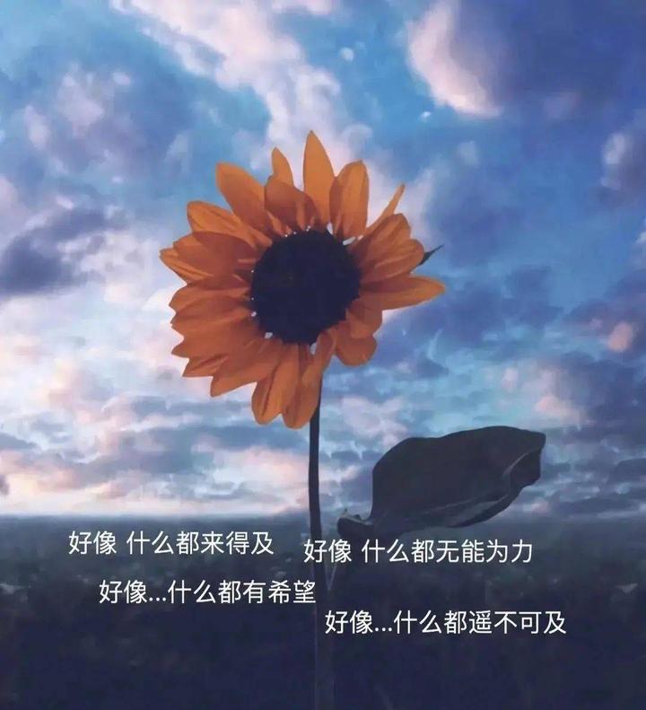 心情不好发朋友圈的文字,句句戳心