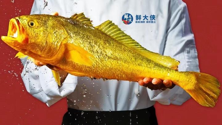 8.7斤野生大黄鱼卖了68800元!这条鱼,真的让沿海人疯狂了 - 知乎