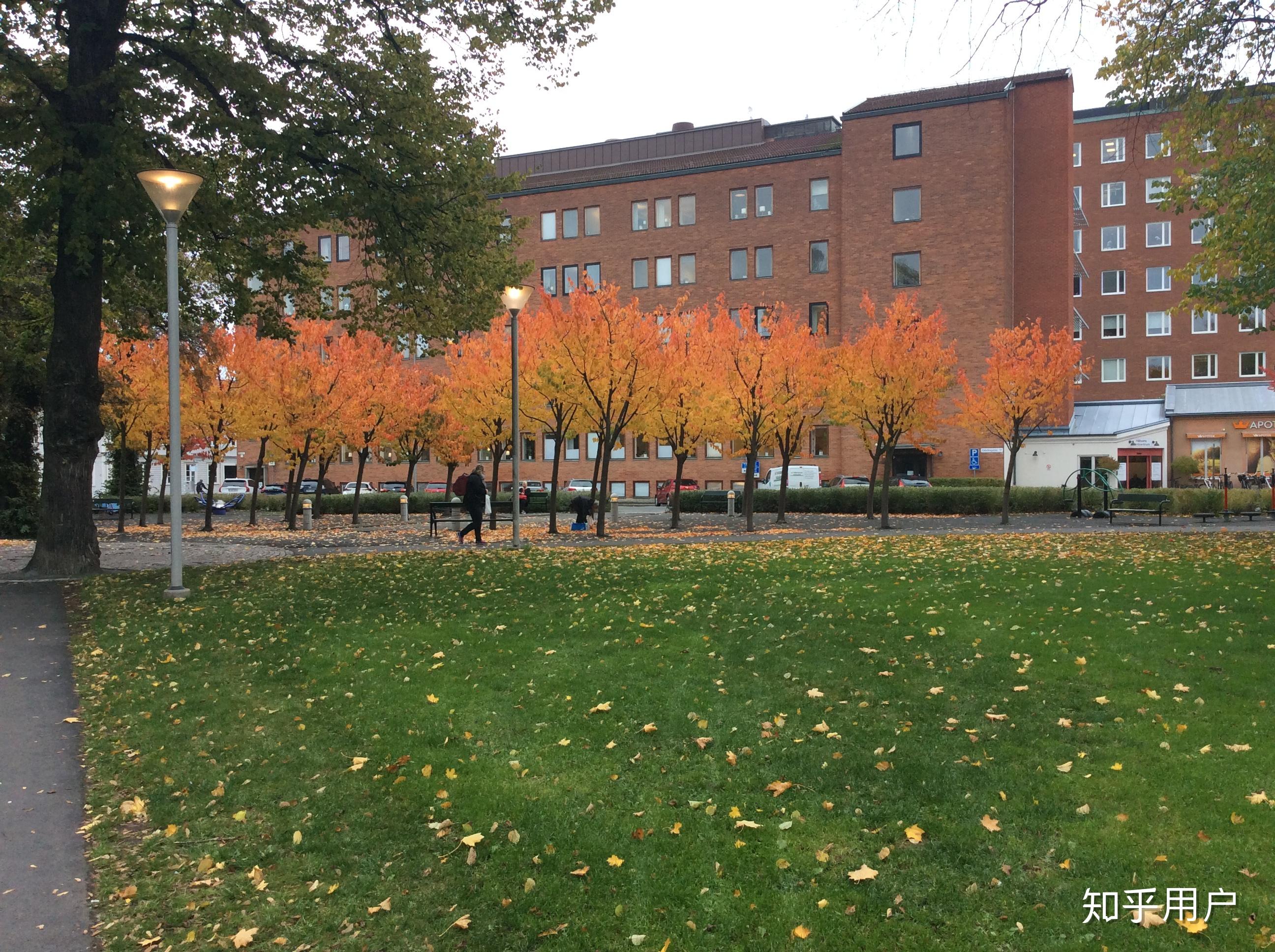 在瑞典延雪平大学就读是一种怎样的体验
