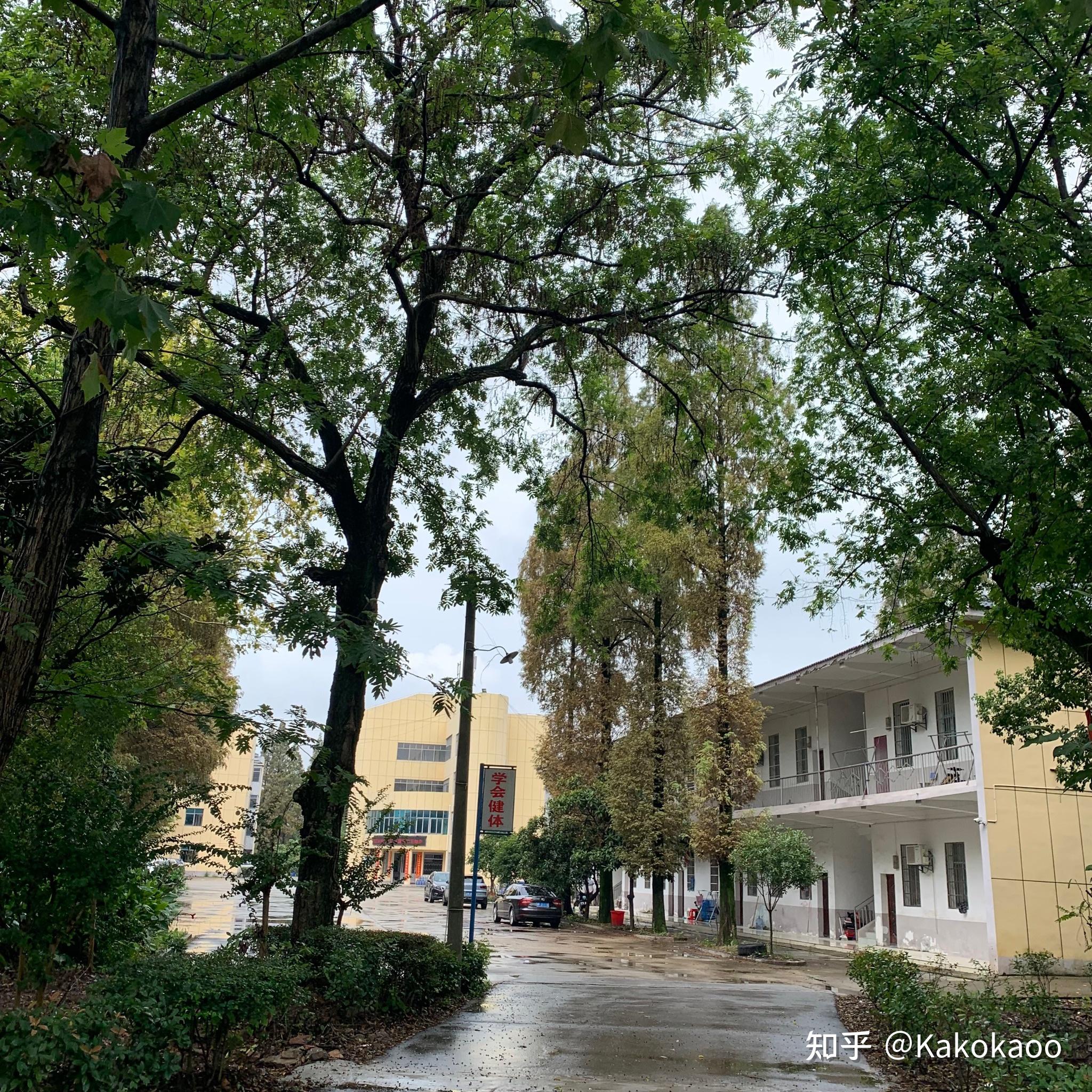 在岳阳市君山中学就读是一种怎样的体验? - 知乎