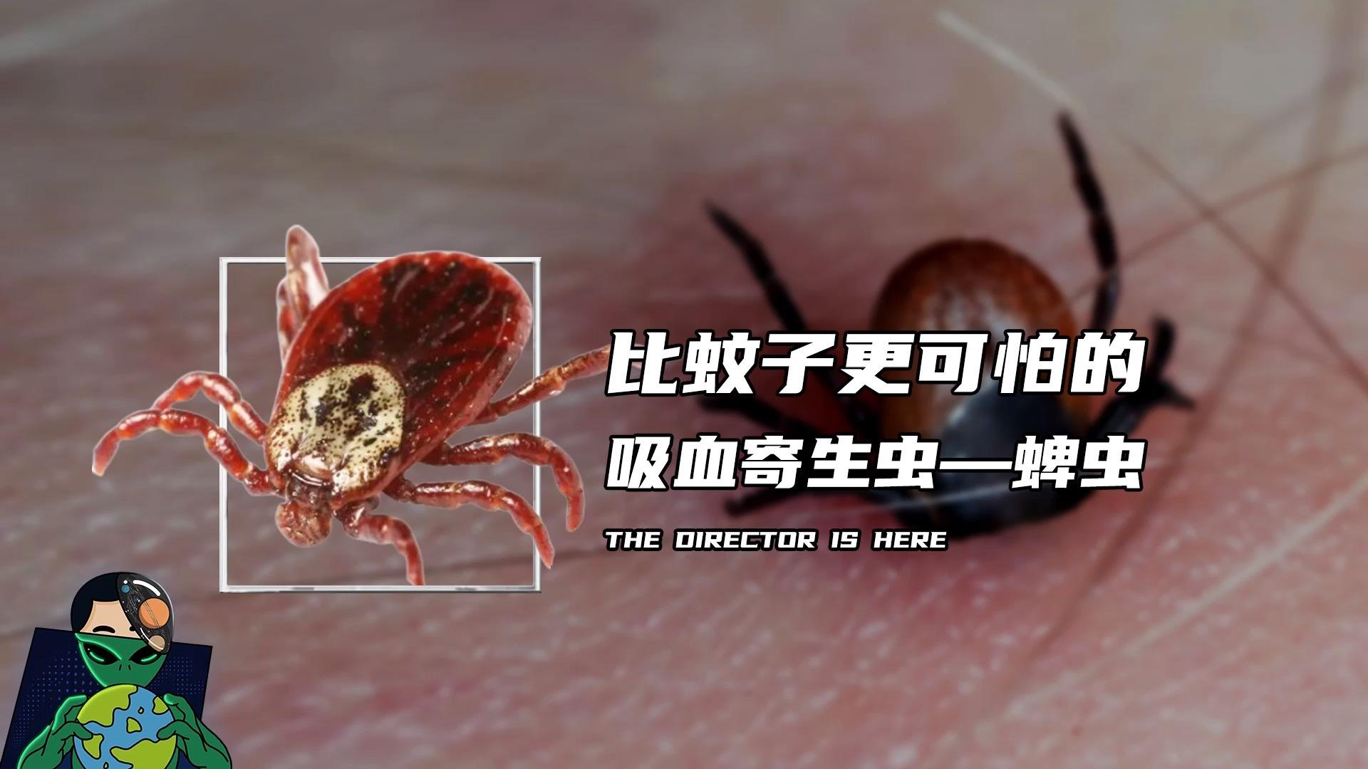 比蚊子更可怕的吸血寄生虫—蜱虫 - 知乎