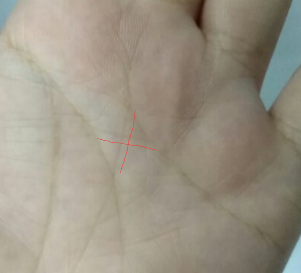 神秘十字纹 知乎 神秘十字纹 知乎