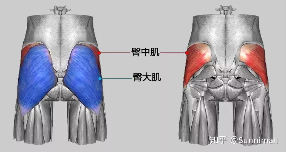 站直了臀大肌使劲的话屁股侧面会有两个大洞怎么回事呀