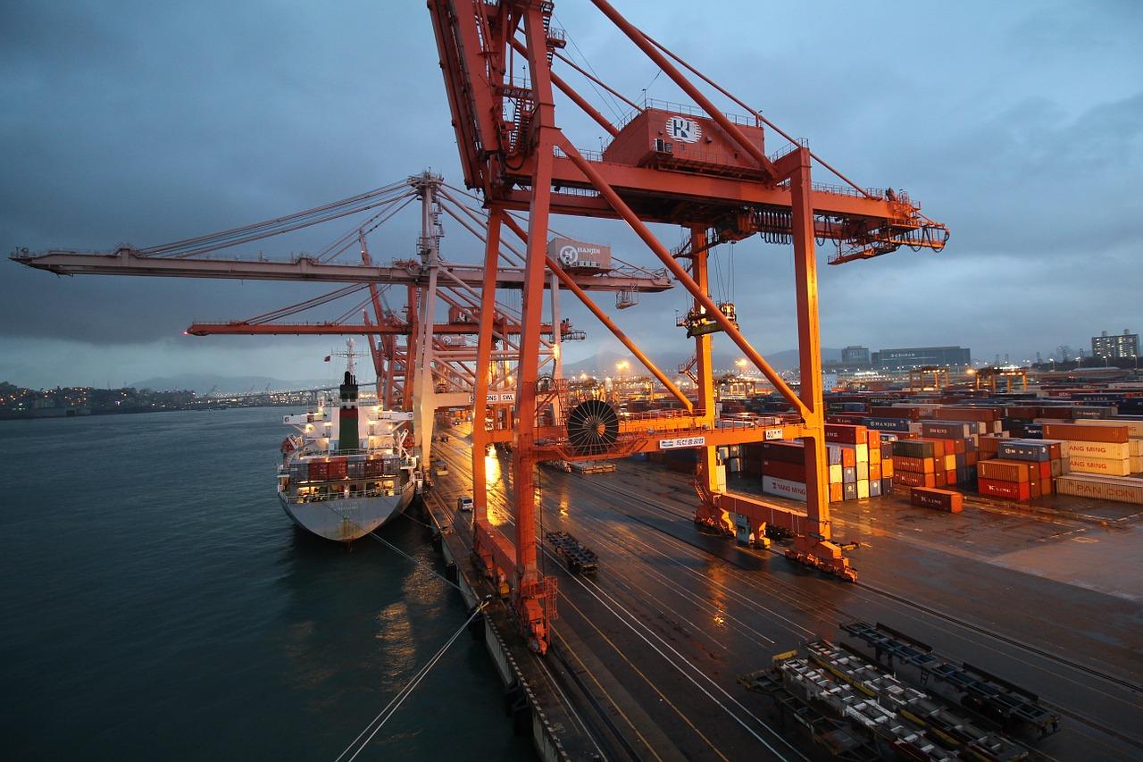 海洋生物的奇观