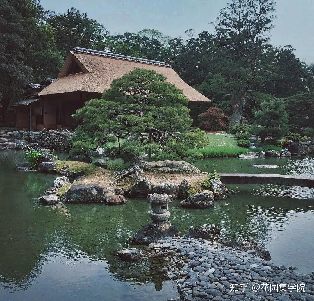 日式庭院该配什么植物？怎么配？看这里~ - 知乎