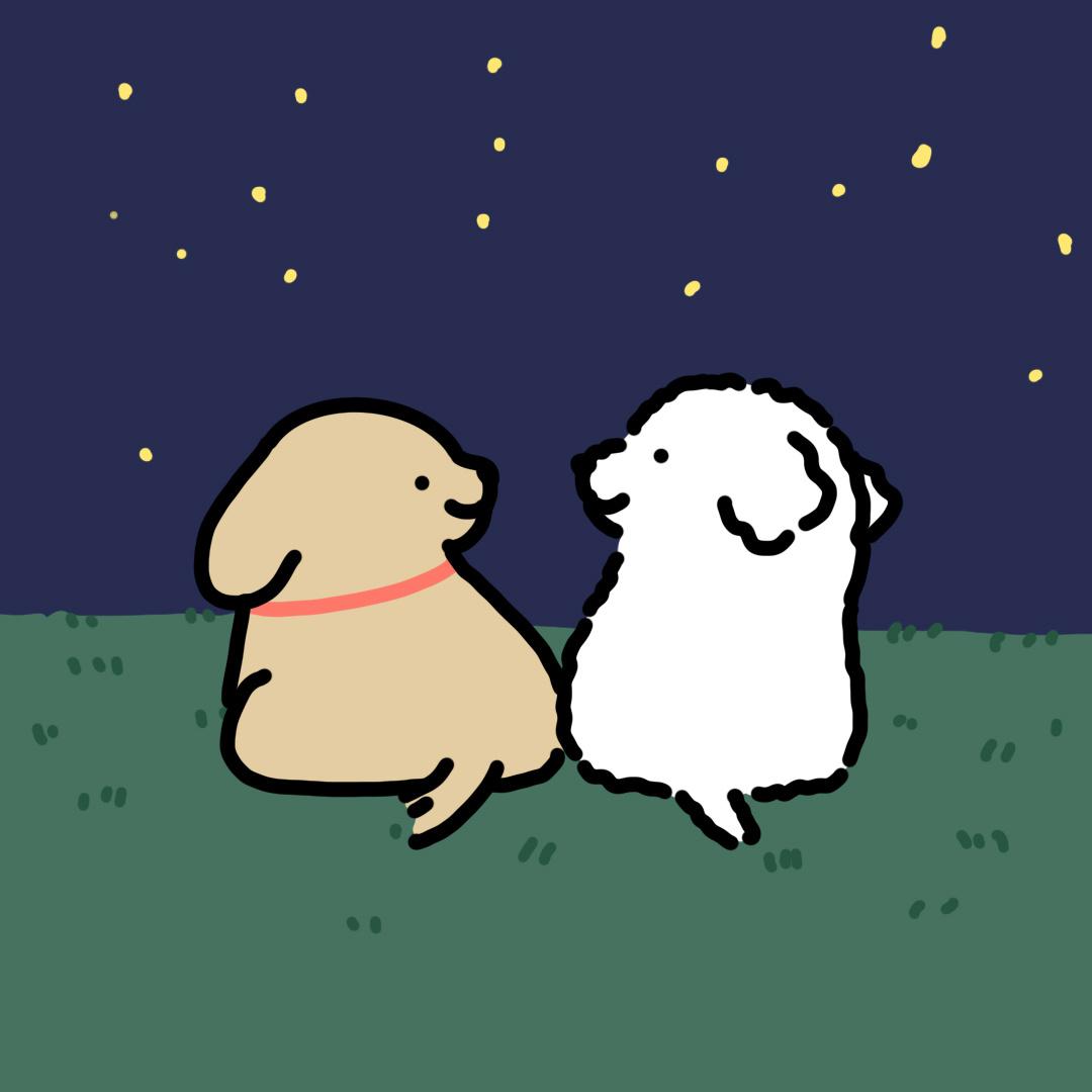 小狗头像合集 - 知乎