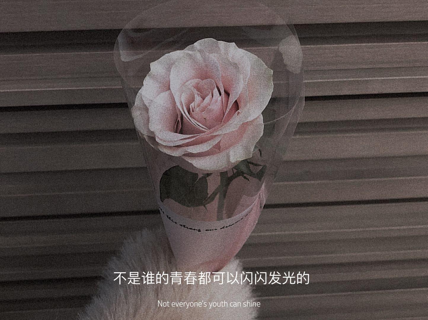 有什么配图的高级感朋友圈文案吗字数精炼不要太矫情