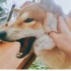 NNNNNNNZ