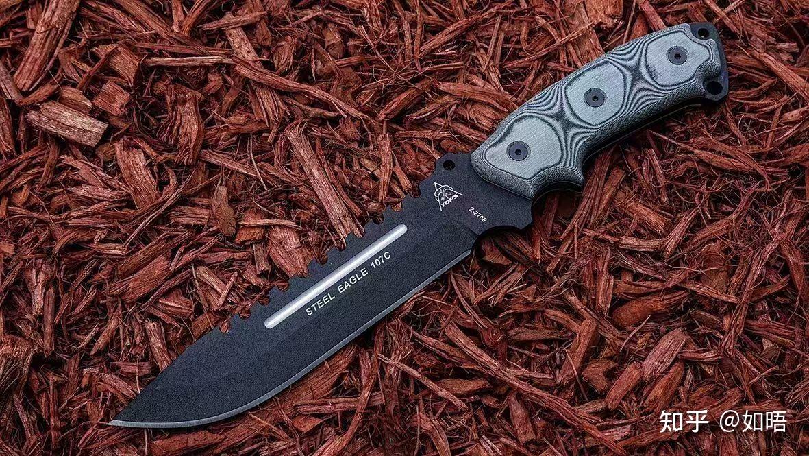 龙族里的狄克推多到底长啥样? - 知乎