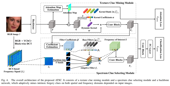 文献阅读：Adaptive Texture and Spectrum Clue Mining for Generalizable Face ...