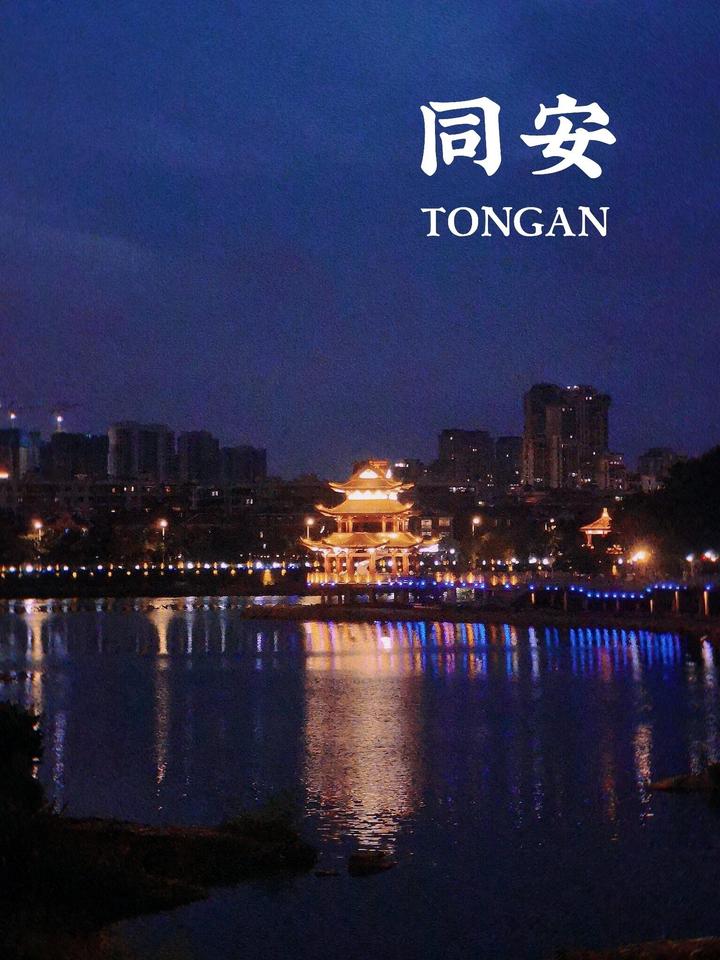 「图文」厦门同安区自驾旅游租车行价格、租车公司电话 - 知乎