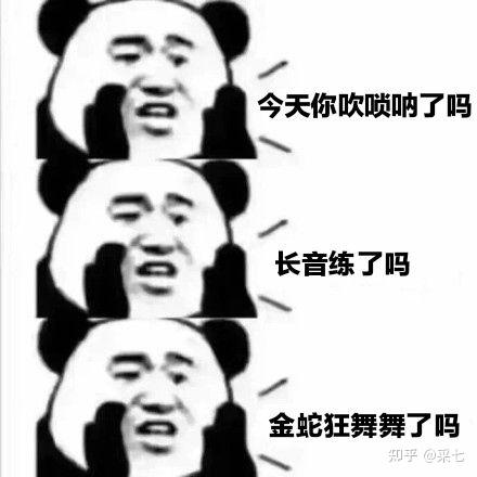 唢呐表情包送走图片