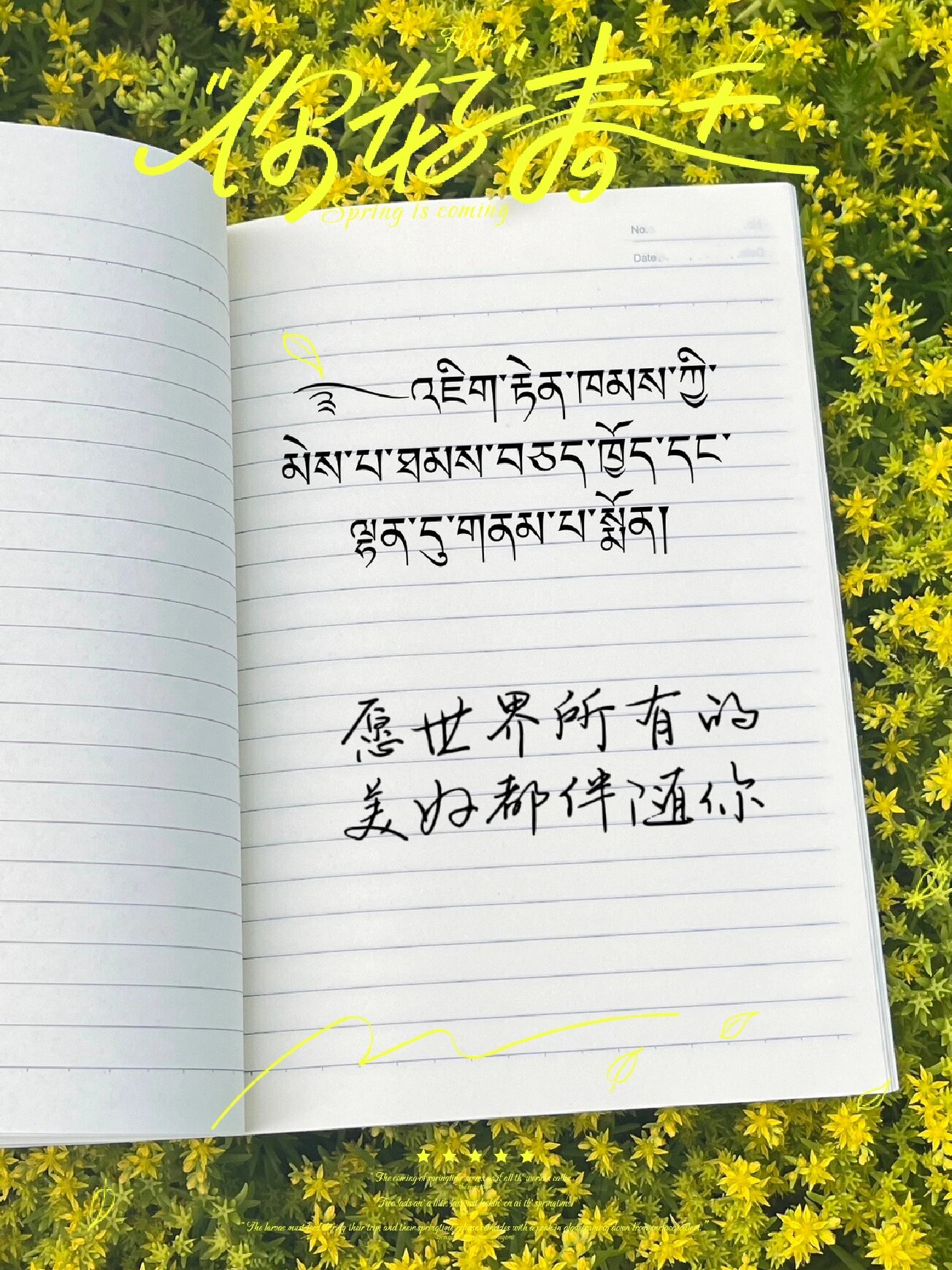 汉藏同属一个语系，为什么藏语没有使用汉字书写？