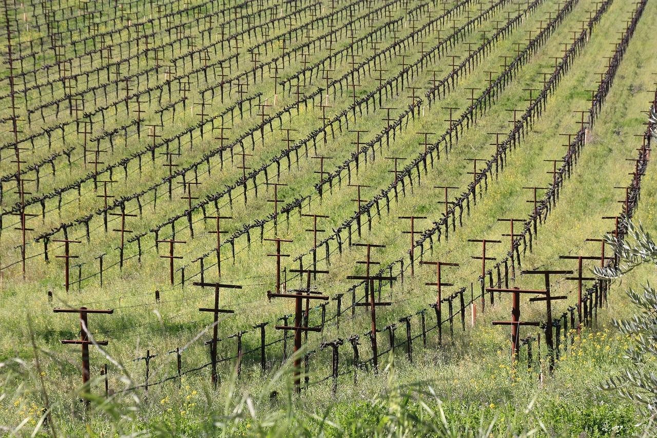 3. 红酒瓶标准规格