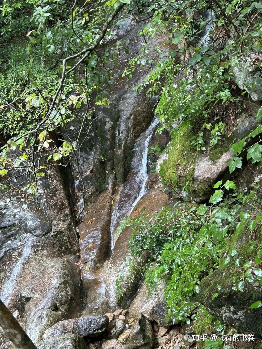 黄山雨中独行记(一):从云谷寺徒步到白鹅岭,一路有啥美景? - 知乎