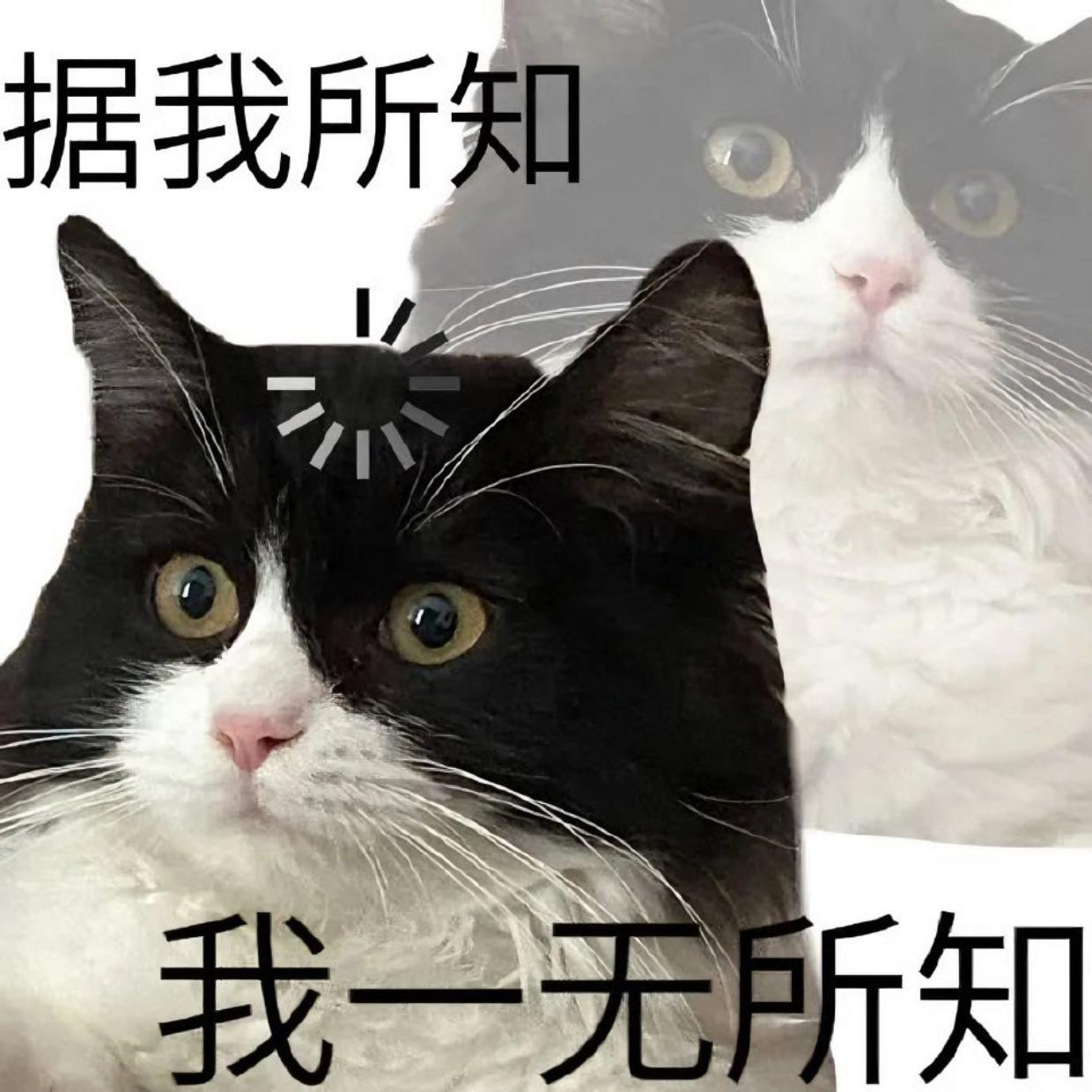 有什么适合大学生的表情包?