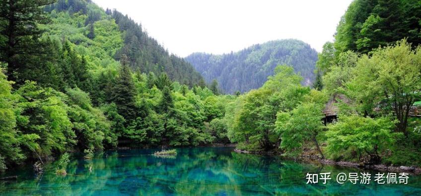 给第一次去九寨沟的游客们一些建议【最新九寨沟旅游攻略】。 - 知乎