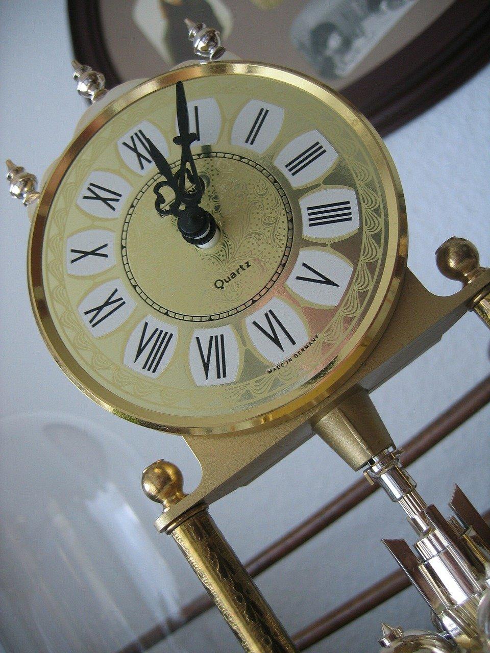 《勇敢的小刺猬》