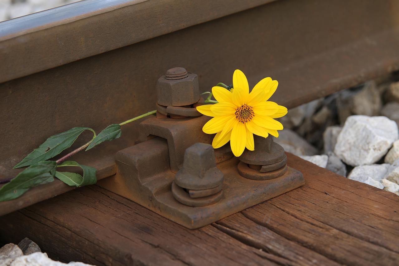 4. 工程难度评估