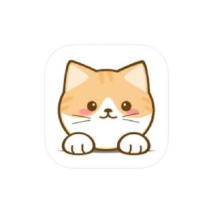 橘猫4K v3.1.0 纯净版-俊享空间 | 一站式免费资源社区 - 海量软件 / 源码 / 项目 / 壁纸 / 游戏等免费获取
