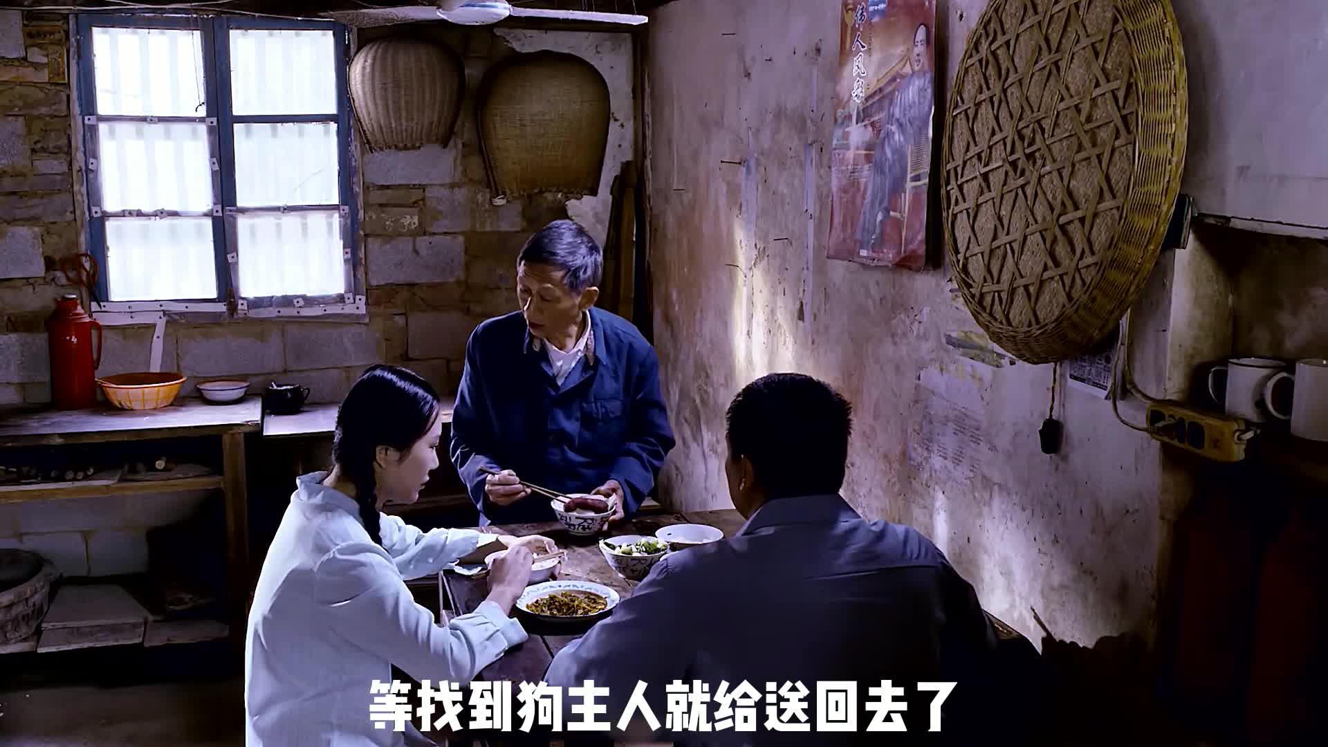 神犬落难老人将其救回家后多次帮家人渡过劫难超感人剧情片