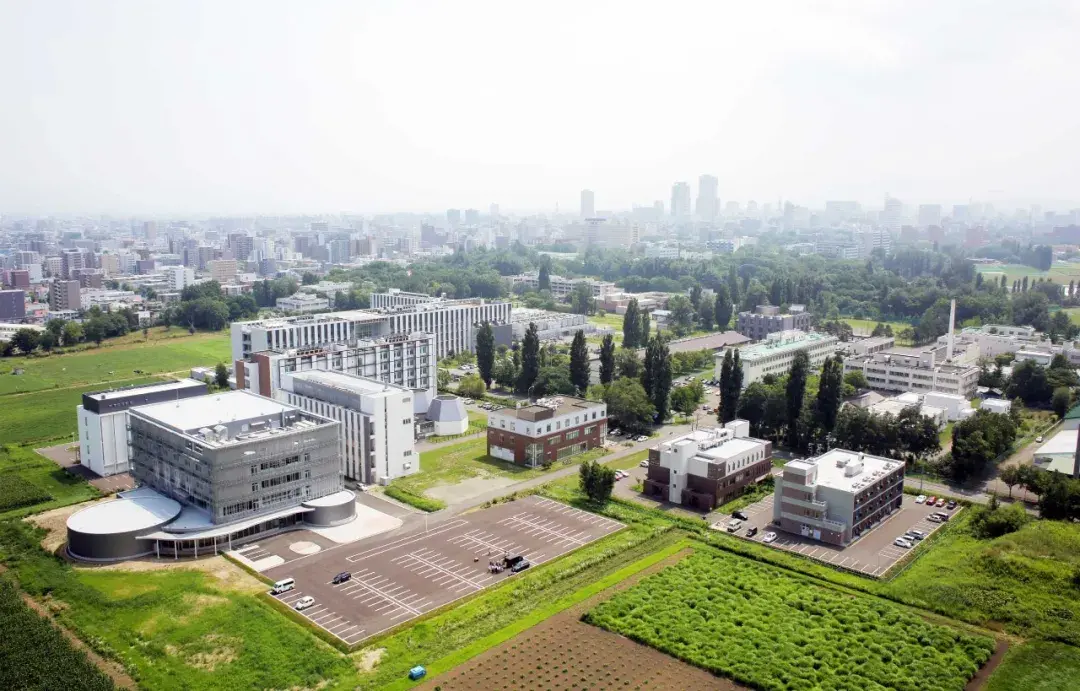 请输入图片描述