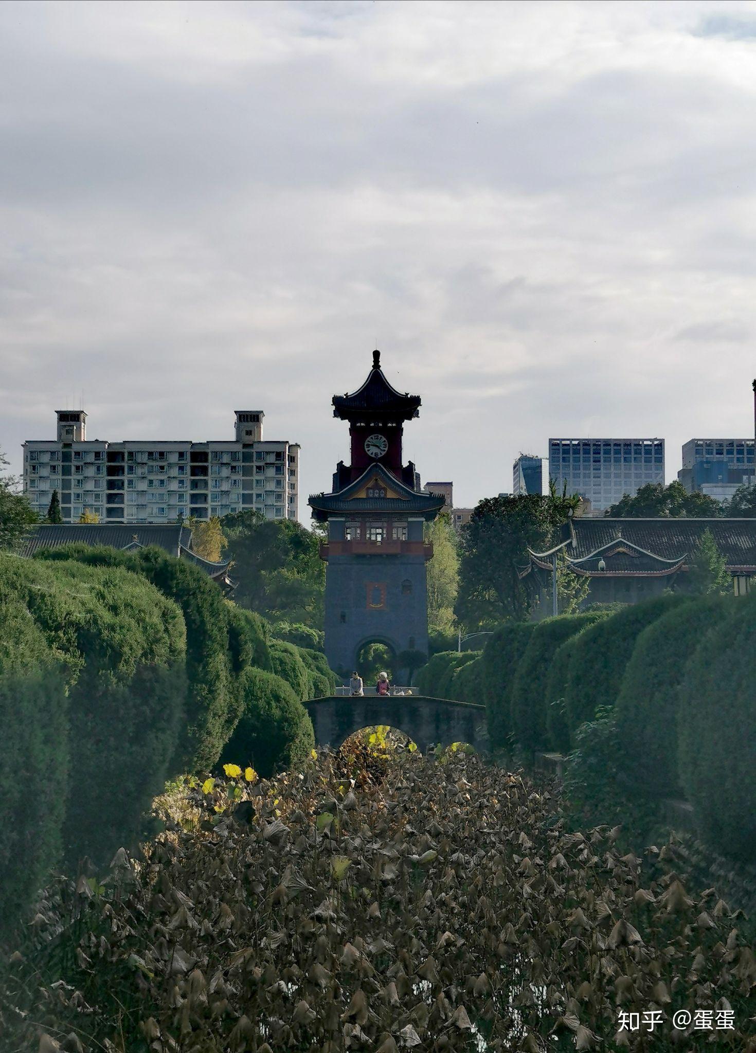 四川大學的校園環境如何