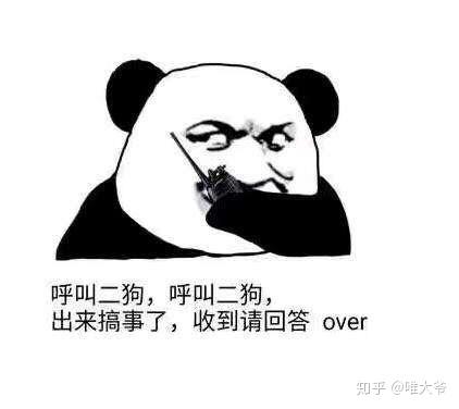 有哪些适合聊天开场的表情包呀