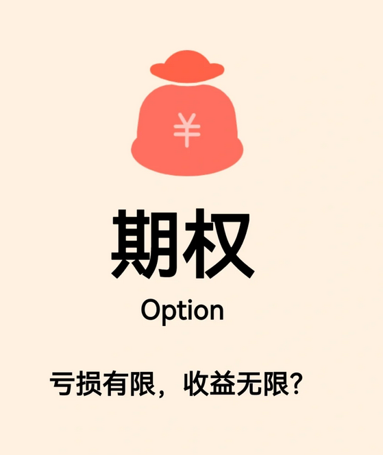 💡期权:揭秘金融市场的奥秘! - 知乎