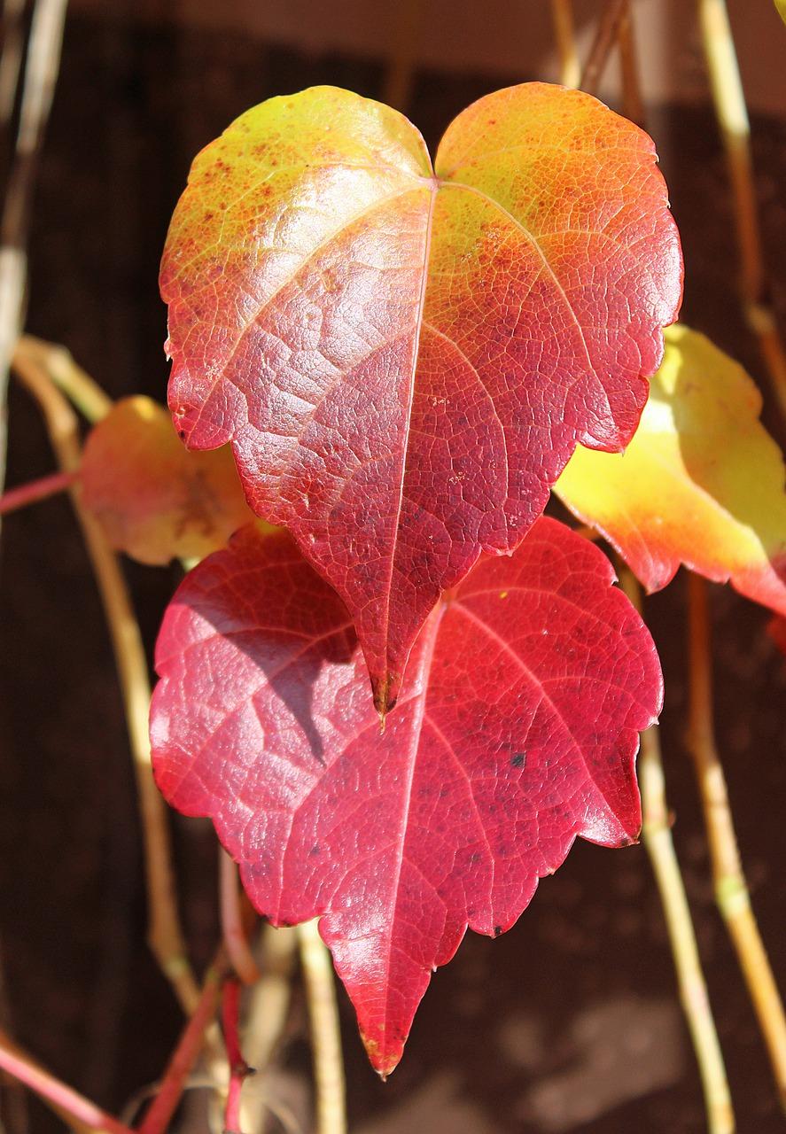 海景房投资回报率