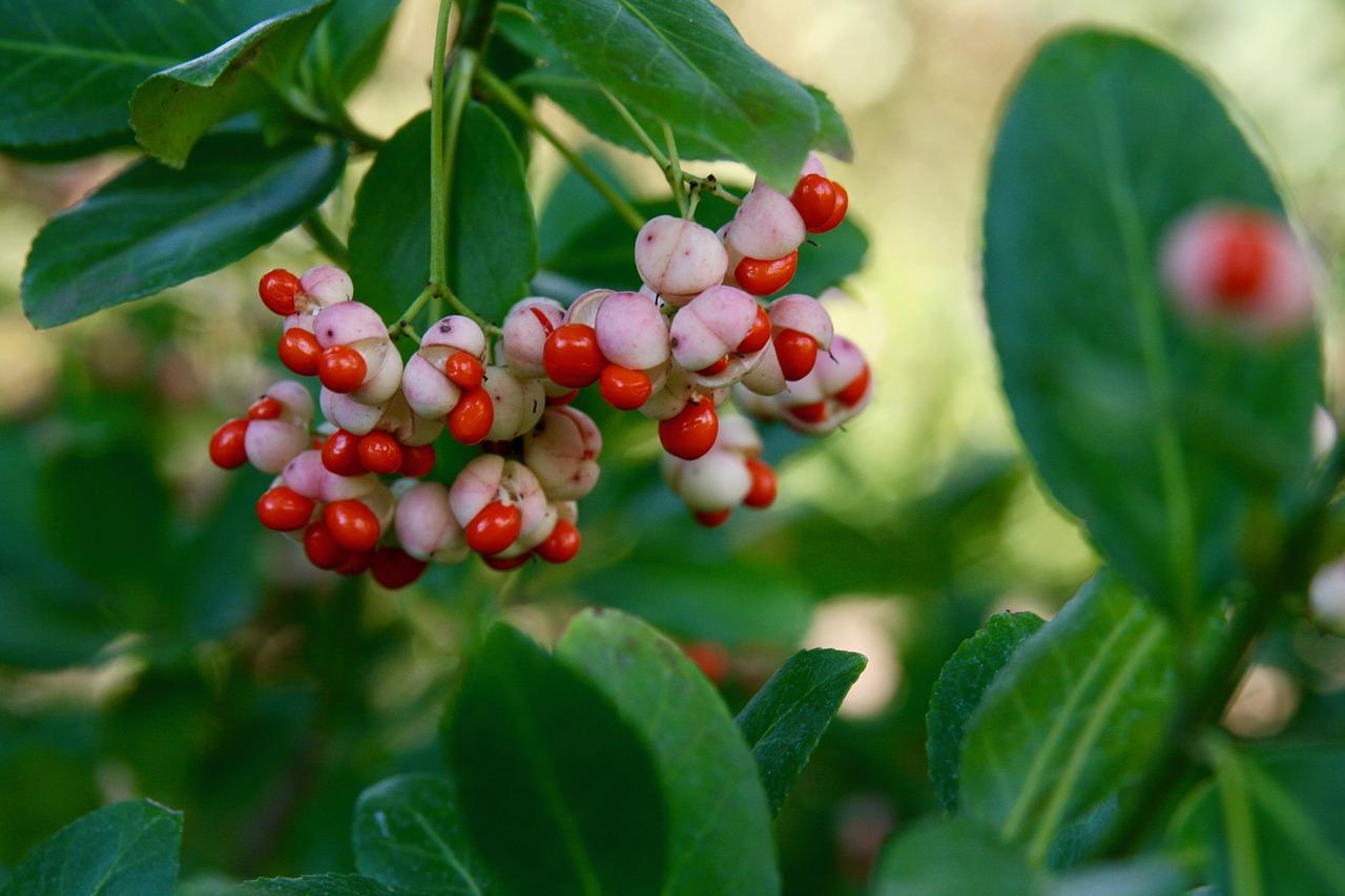 4. 轴套配合连接