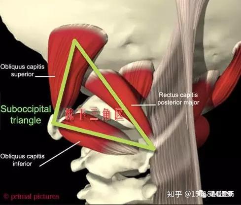 金門美兆診所 ''枕下肌症候群