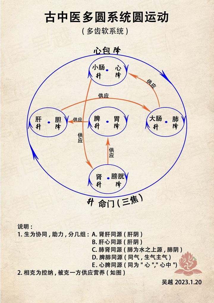 “中医生理学”解惑:营气与血的关系及血之生化 - 知乎
